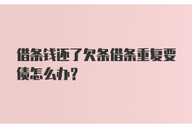 高明收债公司排名前十名：揭秘行业翘楚，助力债权回收